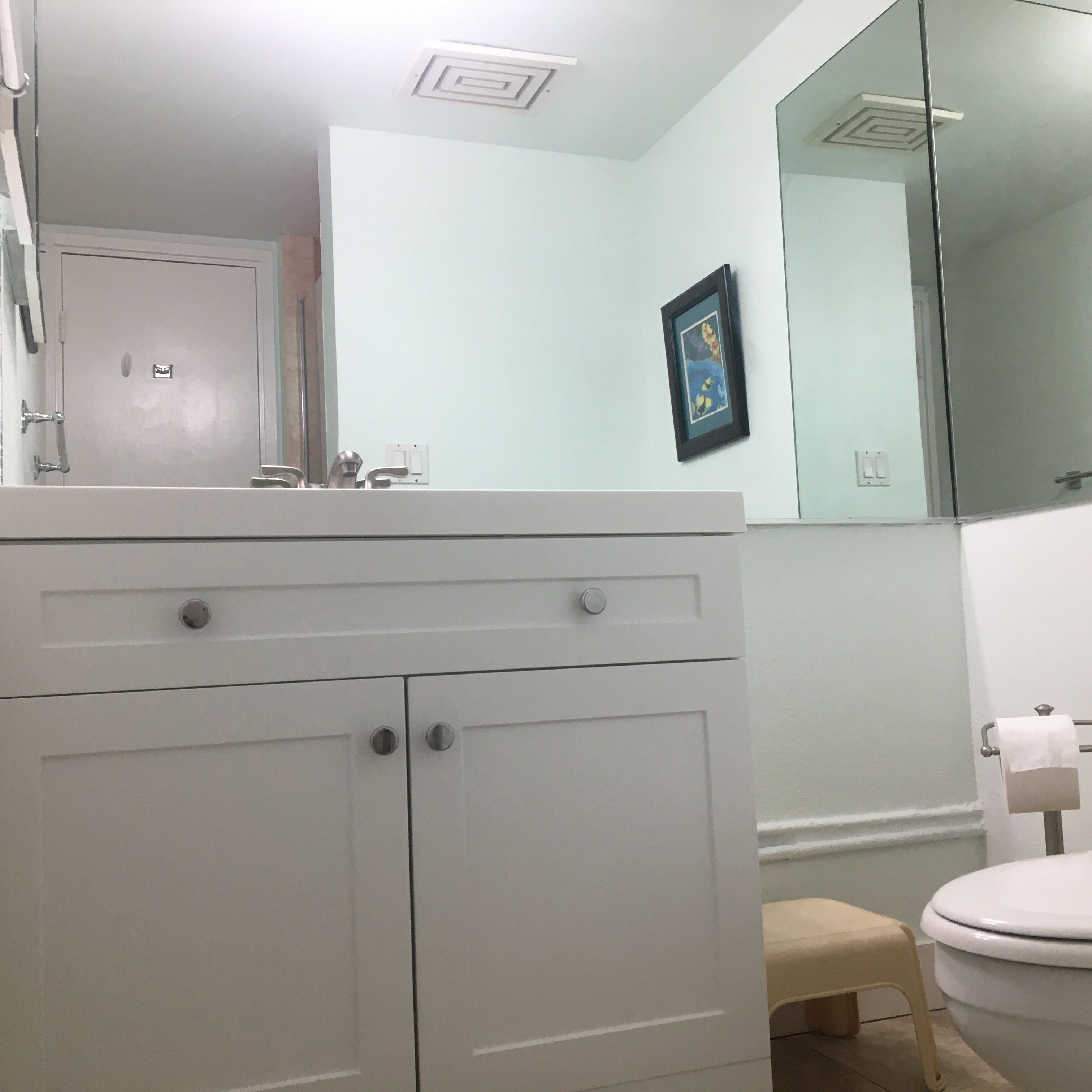 Hair dryer, towels, toilet paper