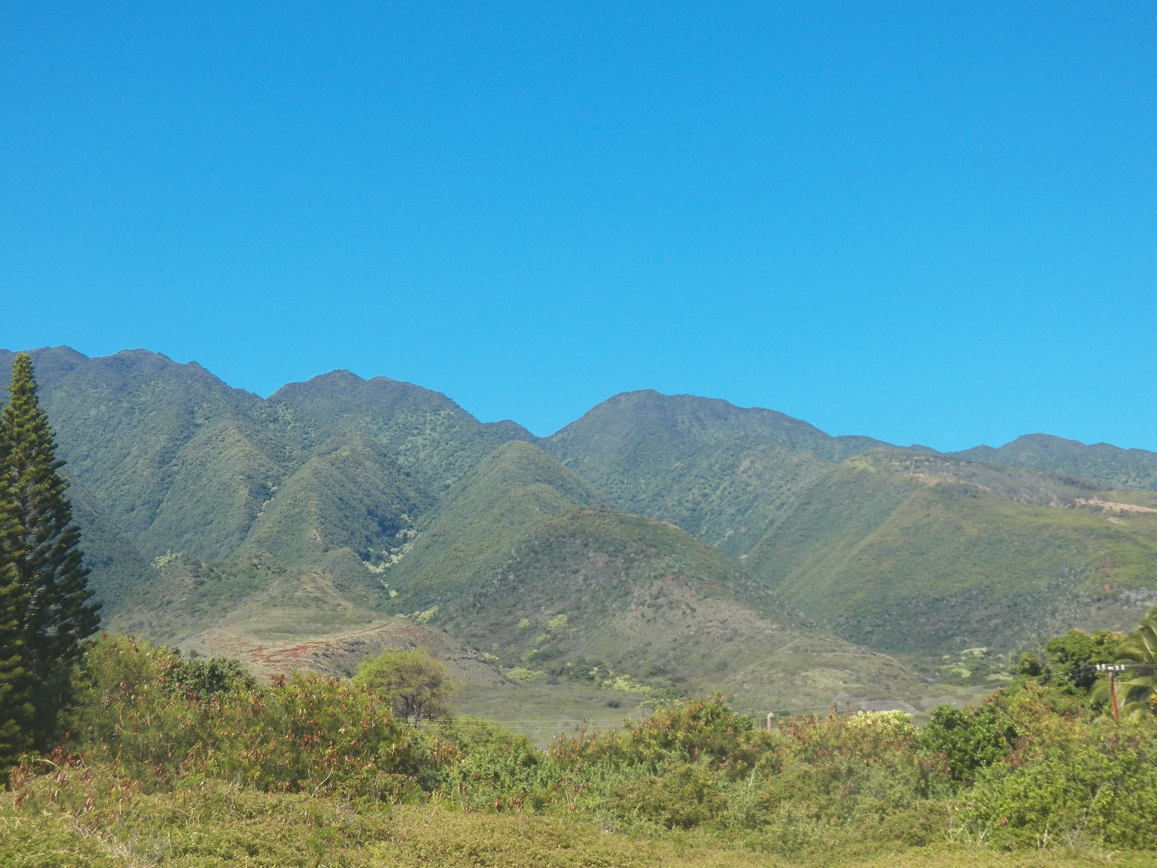 Hawaiian Style Ohana Living On Molokai - Photo 24