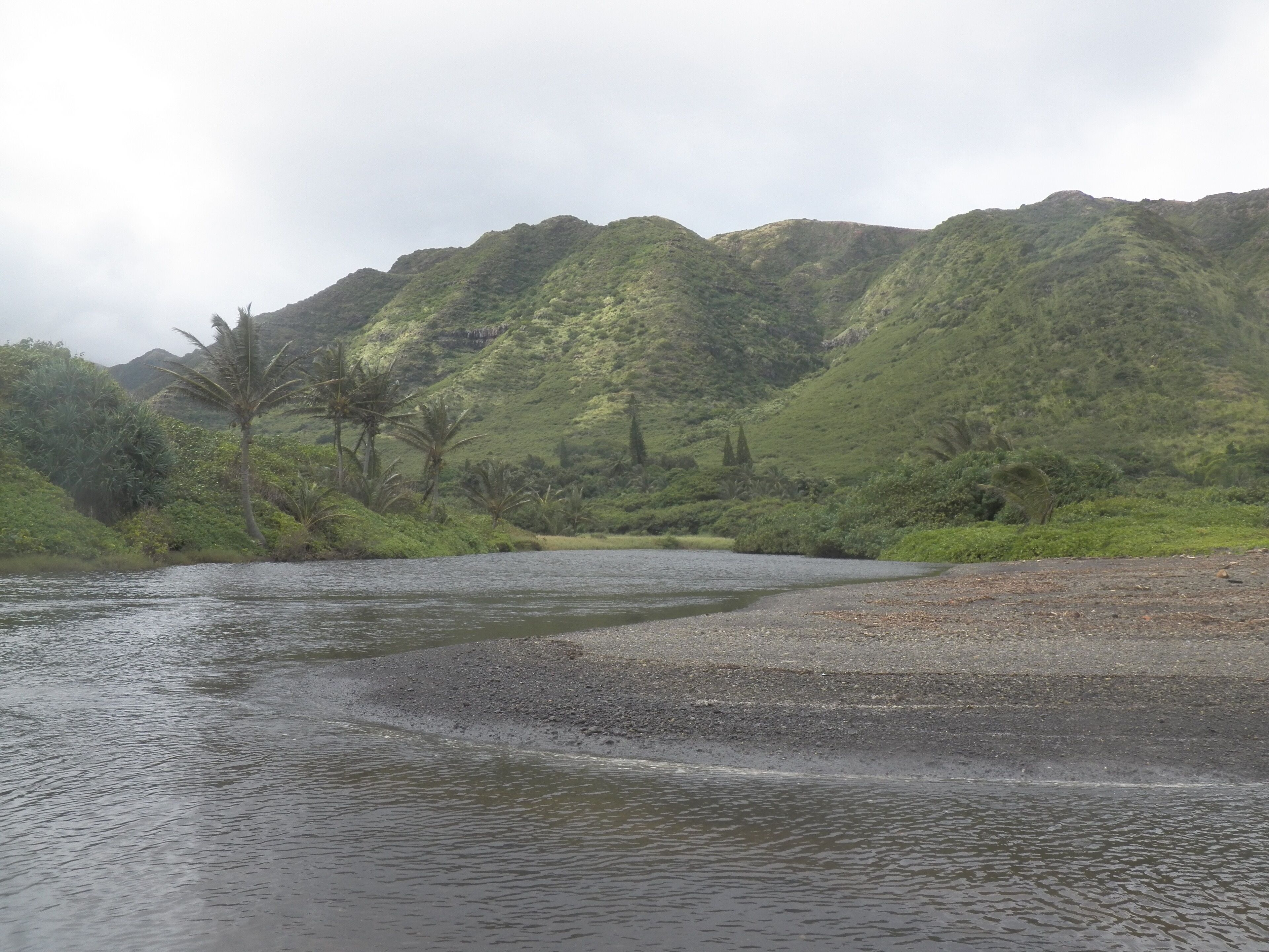 Hawaiian Style Ohana Living On Molokai - Photo 26
