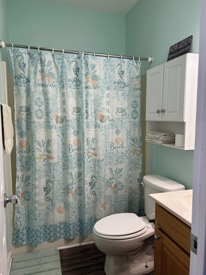 Combined shower/bathtub, hair dryer, towels, toilet paper