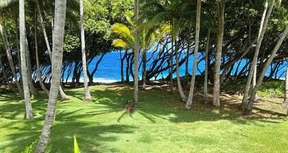 Oceanfront Cottage dans le pittoresque «Old Hawaii», le chalet original Rainbow Dreams