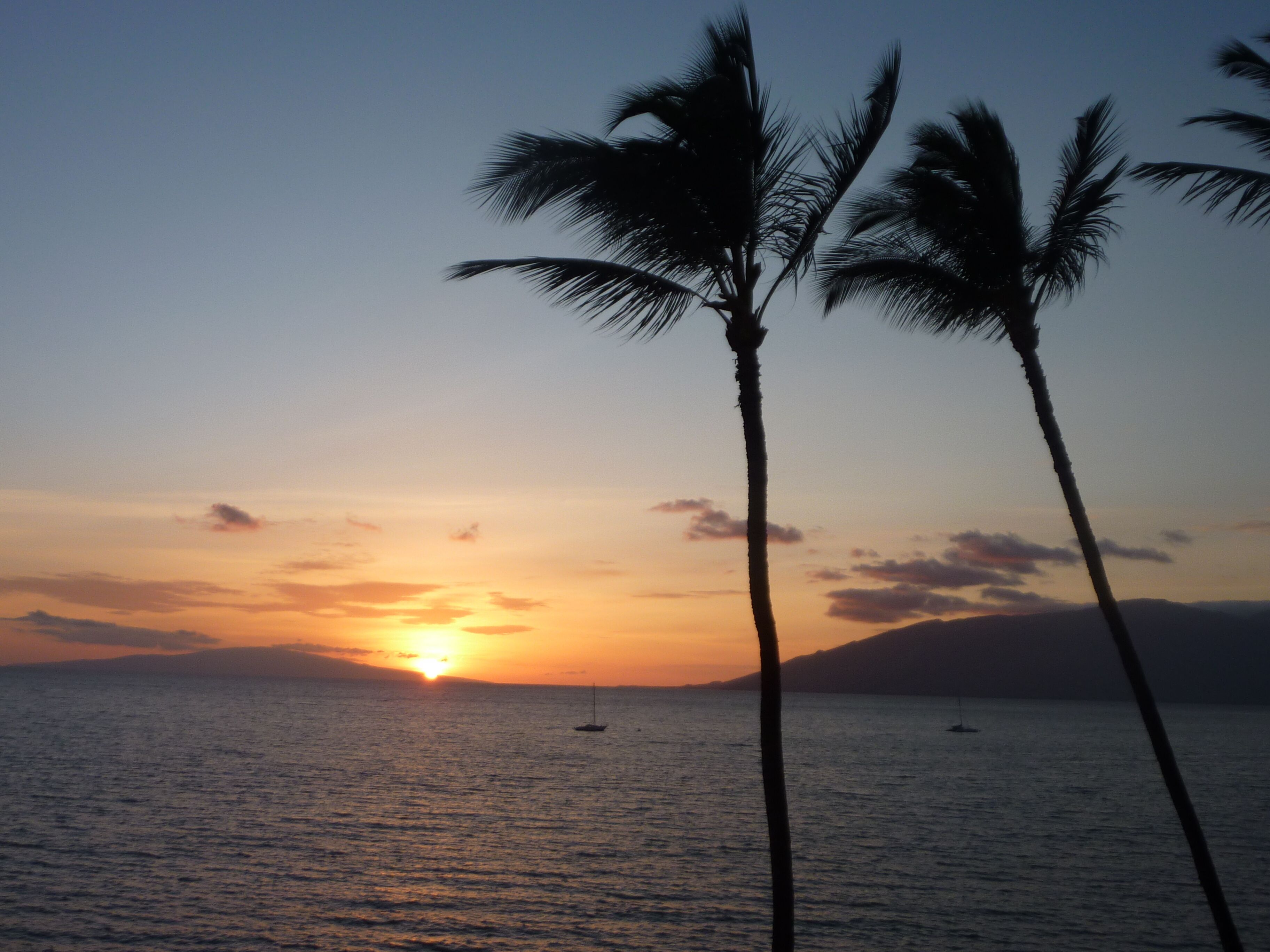 TRUE OCEANFRONT PARADISE! Royal Mauian #311