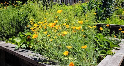 Sonoma County Historic Home With Pool; 5 Min Walk to Cyrus, Diavola & Catelli's