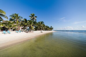 On the beach, sun-loungers, beach towels