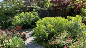 A garden with a paved path, various plants, and a wooden fence.