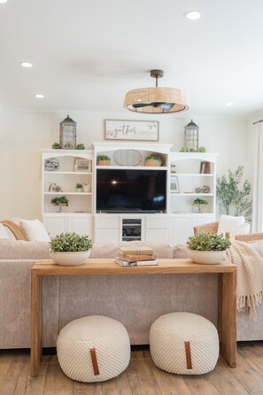 Smart TV, fireplace, video games, DVD player