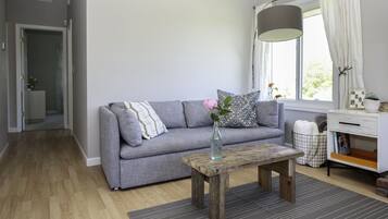 Smart TV, DVD player, books