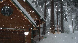 Uma cabana de madeira com telhado coberto de neve, rodeada por árvores altas e uma paisagem nevada.