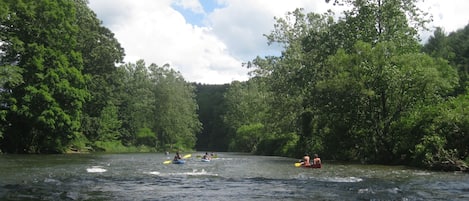 Lac