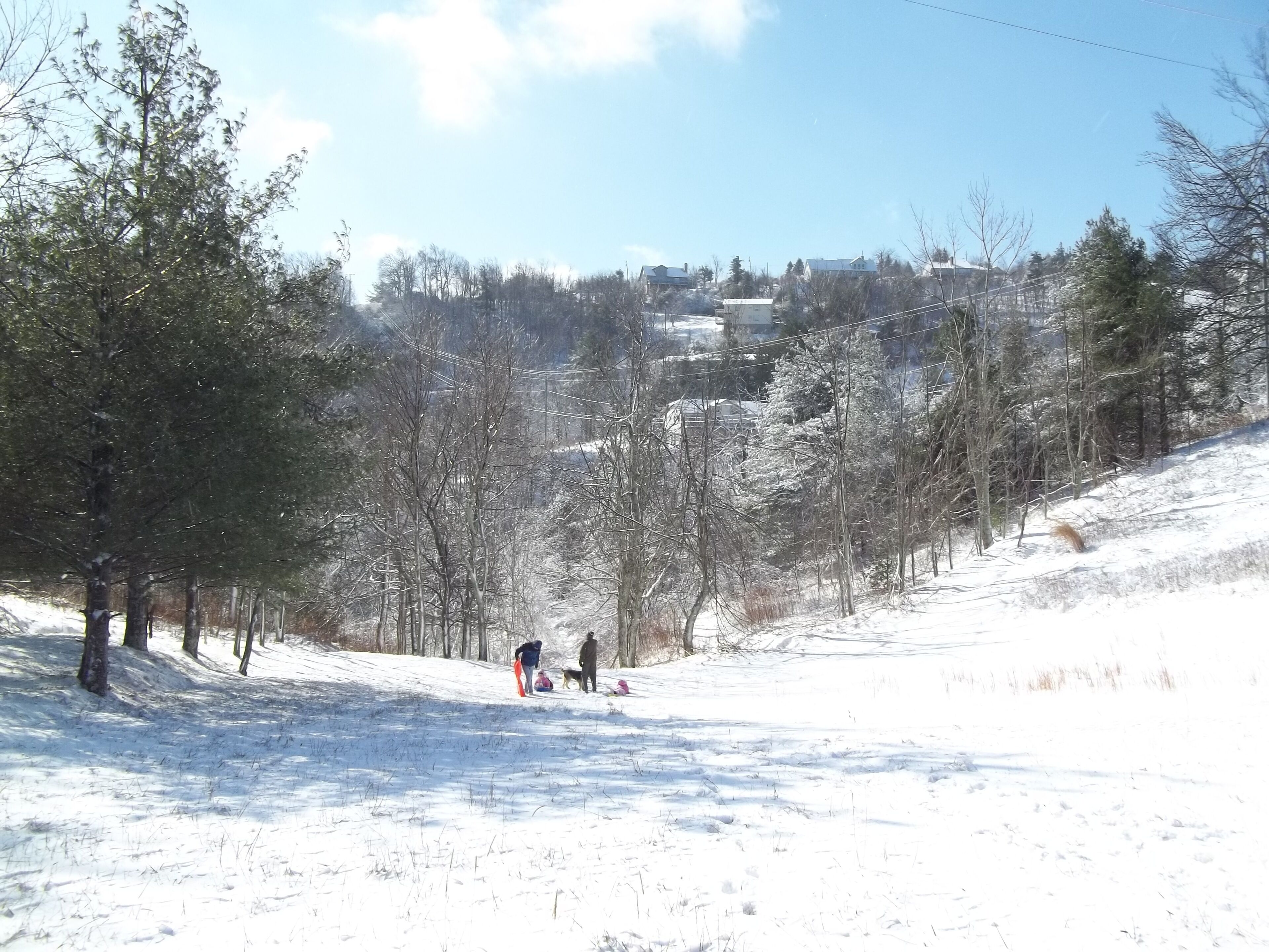 A snowy landscape with trees and a clear sky.
