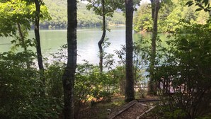 A forested area with a wooden path leading to a body of water. - Nantahala Getaway-Lakefront -mountain views. Firepit,Generator, wifi - STARLINK  (Topton)