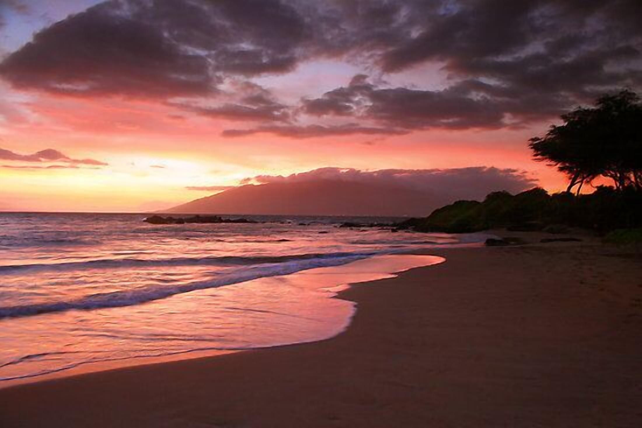 Sun loungers, beach towels