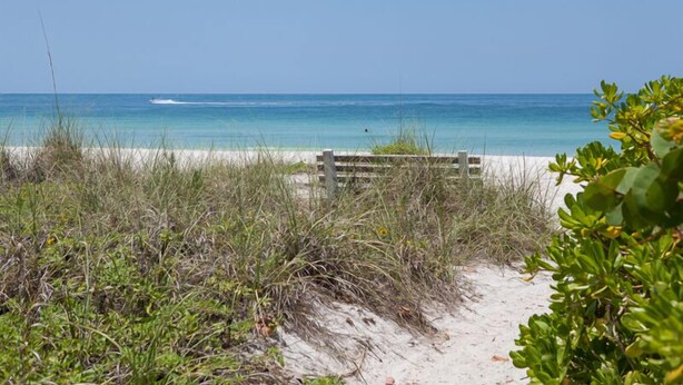 Una playa con valla de madera, sendero arenoso y vegetación verde.