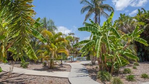Un jardín tropical con un sendero pavimentado, palmeras y diversas plantas exóticas.