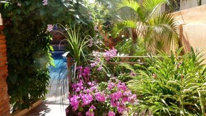 Un étroit sentier de jardin mène à une piscine, le tout étant entouré d’une végétation luxuriante et de plantes en fleurs.