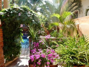 Property grounds - ZONA DORADA~2BED/2BATH~1 BLOCK to BEACH~FULL KITCHEN~LAUNDRY~A/C~HEATED POOL (Bucerias)