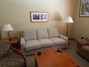 Smart TV, chimenea, reproductor de DVD y videoteca 