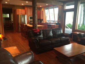 TV, fireplace, DVD player, video library