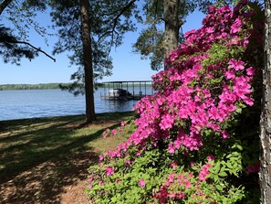 A lakeside view with a dock, trees, and pink flowers. - Cat Fish Paradise (Rogersville)