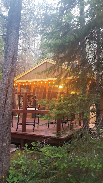Cozy Cabin!  Close to Yellowstone Entrance! 