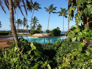 Pool - Ocean Front-Unobstructed Views- Beautiful Upgraded Condo (Maunaloa)