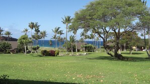 Unclassified image, 3 of 34, button - Ocean Front-Unobstructed Views- Beautiful Upgraded Condo (Maunaloa)