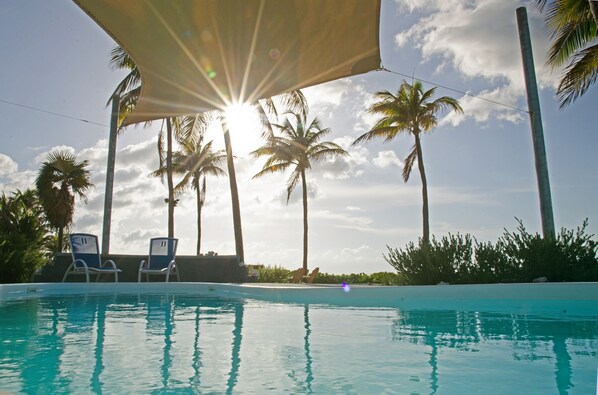 A swimming pool with two lounge chairs and palm trees in the background. - Oceanfront, Pool, Gourmet Kitchen, 2 BR, Office with Futon. (Bamboo Bay)