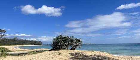 Beach nearby, sun-loungers, beach towels