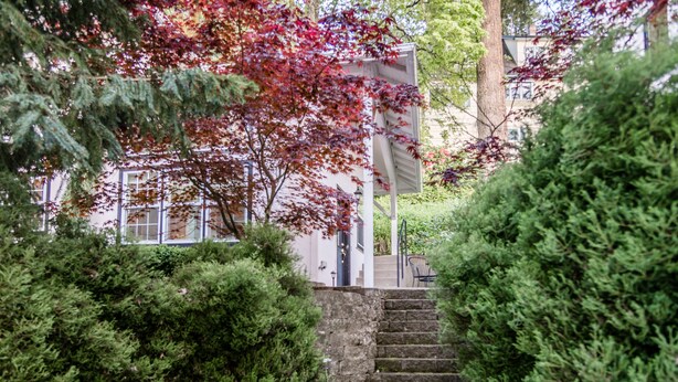 A garden with a stone staircase leading to a building entrance, surrounded by dense green foliage and a tree with red leaves.