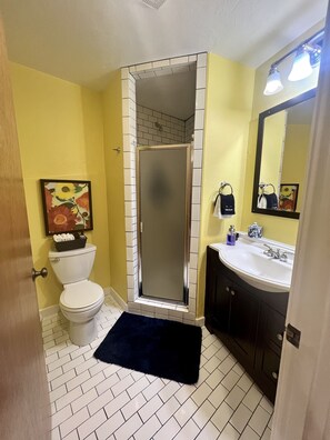 Shower, hair dryer, towels, soap