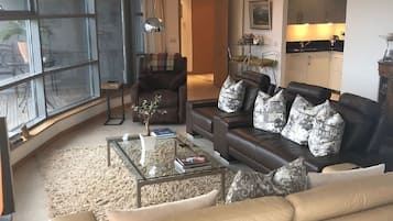 TV, fireplace, books