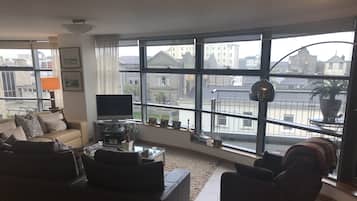 TV, fireplace, books