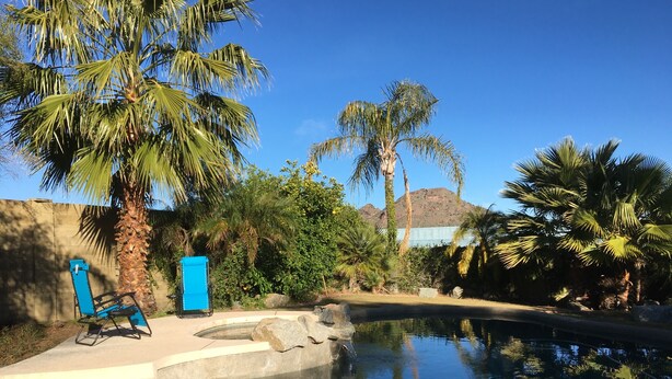 A pool area with palm trees, a blue chair, and a mountain in the background.