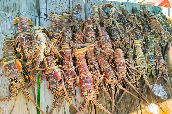 A group of lobsters displayed on a wooden surface.