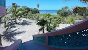 A beach view with palm trees and a clear sky. - Oceanfront home; Rooftop deck; Fabulous views; Upper level apartment (Caye Caulker)
