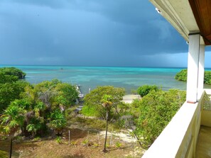 Property grounds - Oceanfront home; Rooftop deck; Fabulous views; Upper level apartment (Caye Caulker)