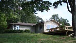 Une maison d’habitation avec un garage, une terrasse et un grand arbre dans le jardin.