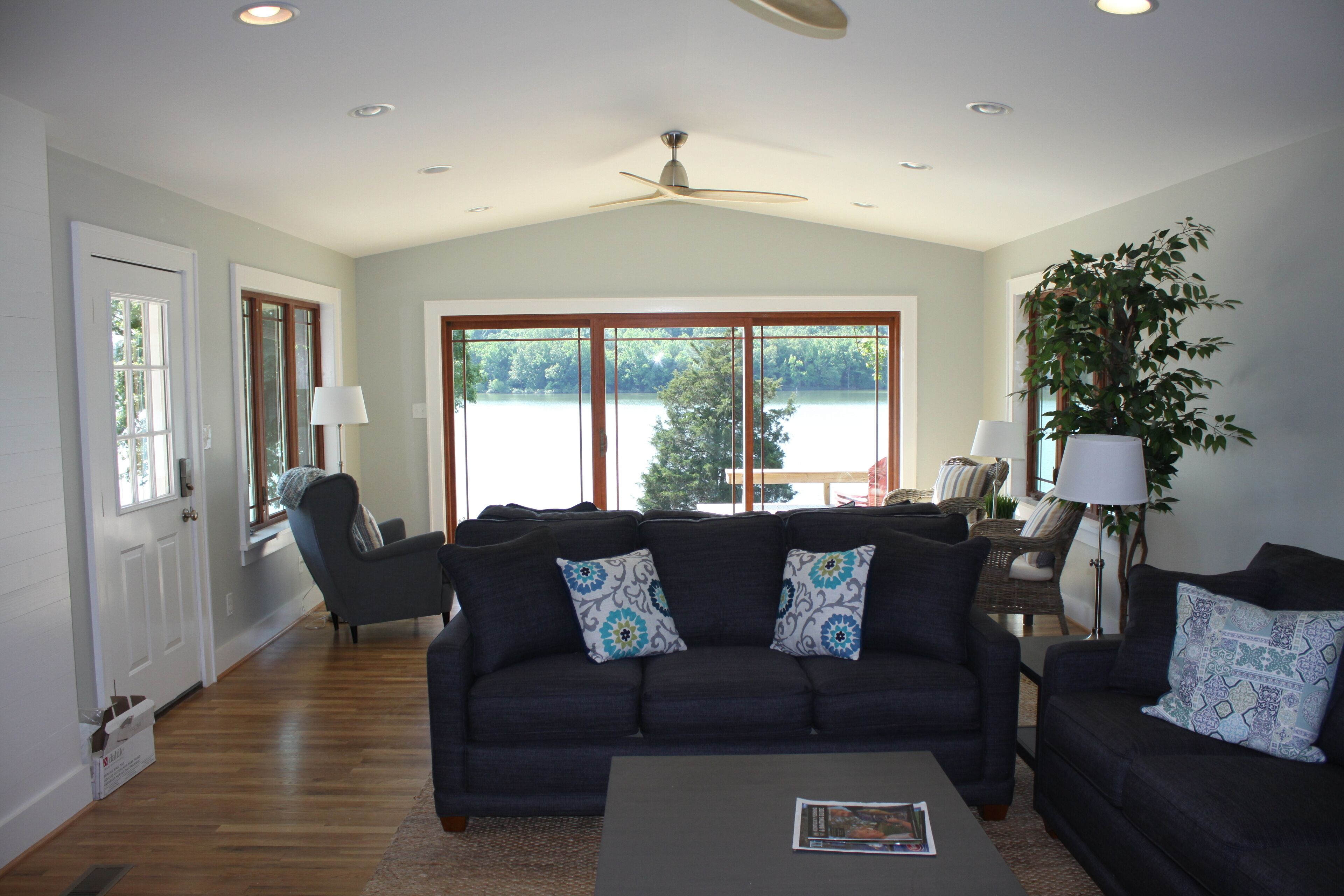 Smart TV, chimenea, reproductor de DVD y libros 