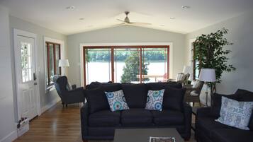 Smart TV, chimenea, reproductor de DVD y libros