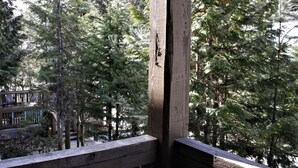 Une terrasse en bois offrant une vue sur une forêt dense de conifères.