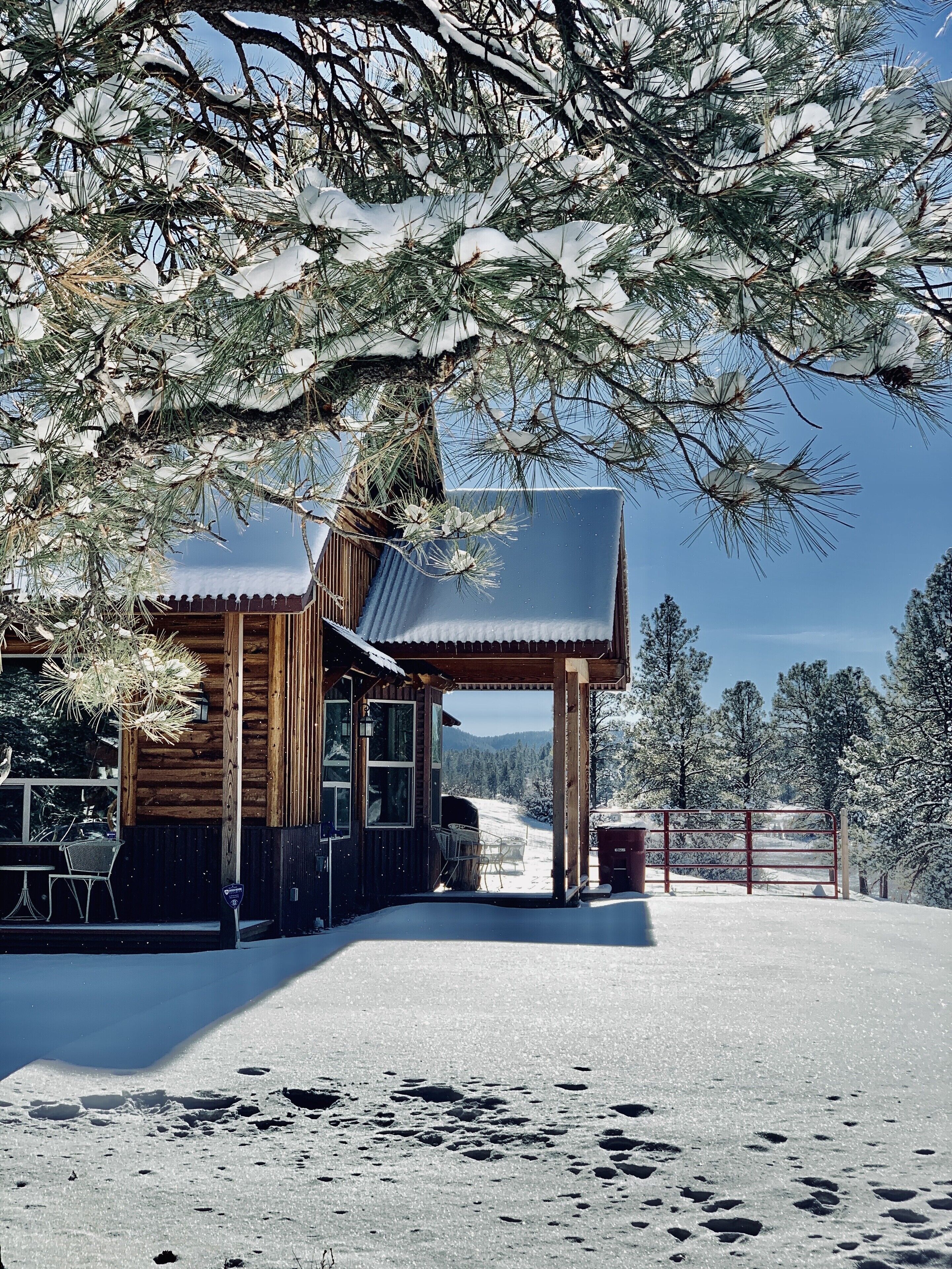 Enceinte de l’hébergement