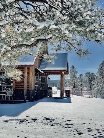 Property grounds. Loma Ponderosa - Modern Mountain Cabin