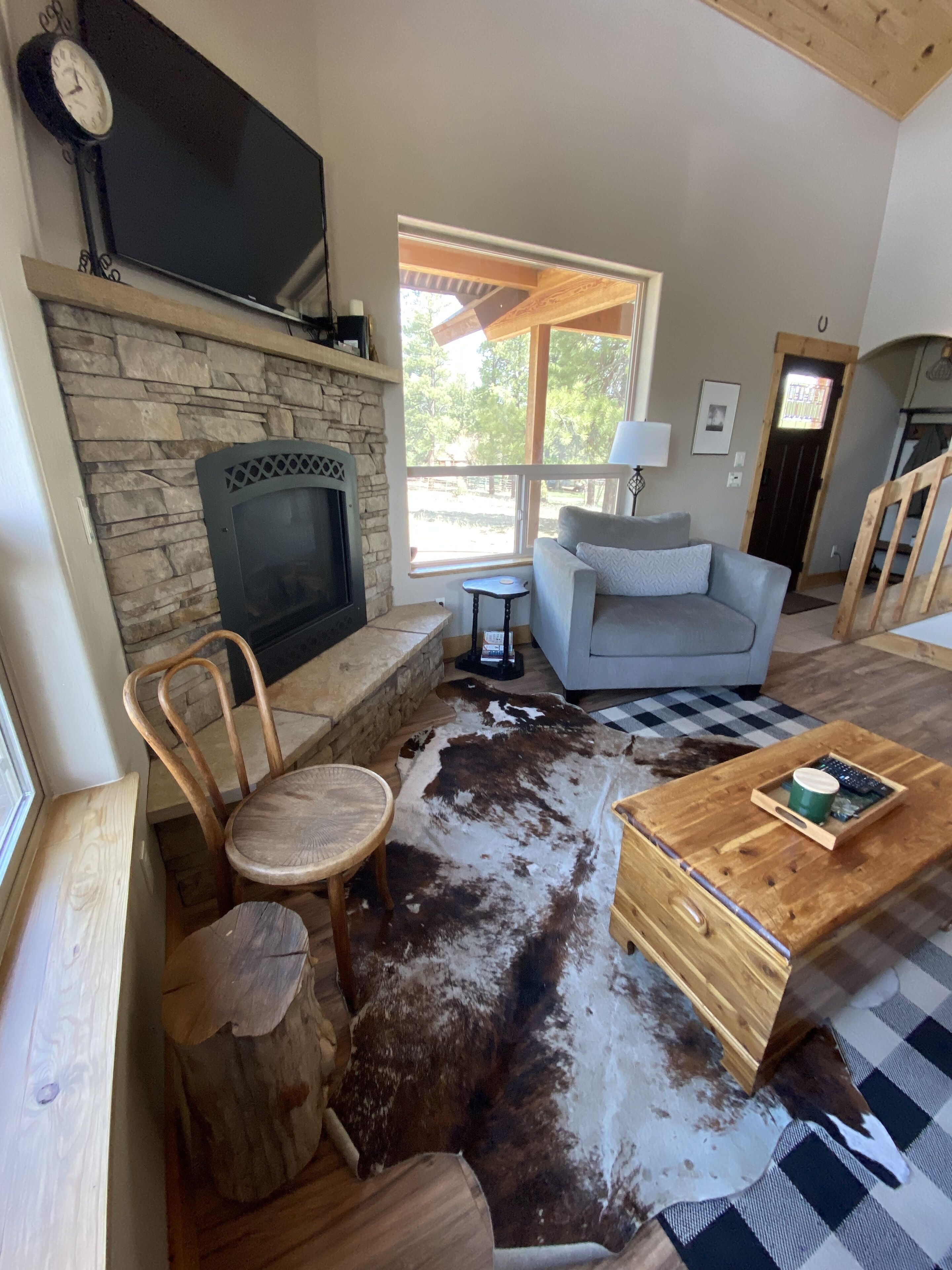 Smart TV, chimenea, reproductor de DVD y libros 