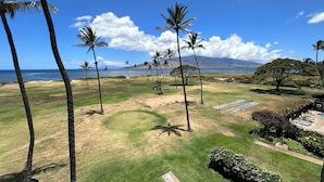 Campo de golf con palmeras, zona de piscina y vistas al océano y a las montañas.