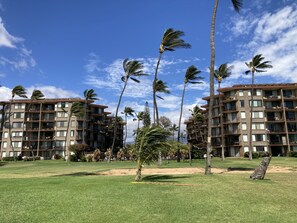 A hotel with multiple floors, balconies, and a well-maintained lawn with palm trees.