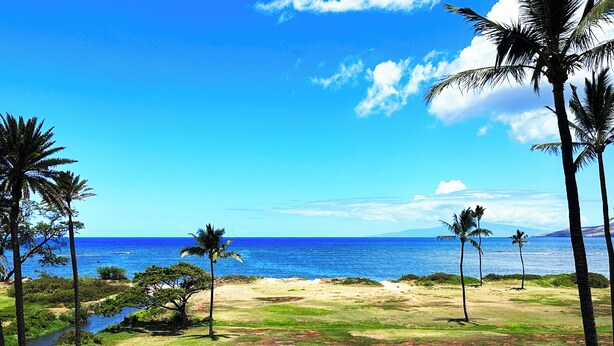 Vista de playa con palmeras y cielo despejado.
