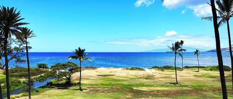 Terrain de lâhĂ©bergement