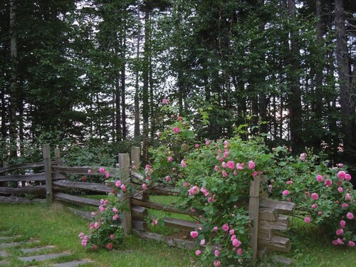 Come, relax, and enjoy true peace and beauty.