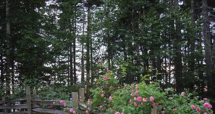 Come, relax, and enjoy true peace and beauty.