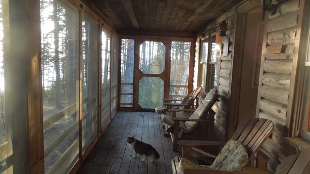 A cabin with a wooden interior, large windows, and a cat on the floor. - Come, relax, and enjoy true peace and beauty. (Milbridge)